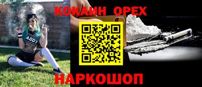 стафф Новокубанск