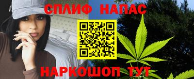 стафф Новокубанск