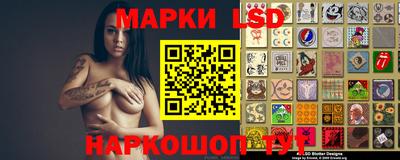 стафф Новокубанск