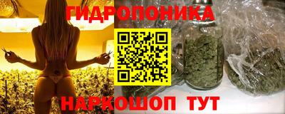стафф Новокубанск