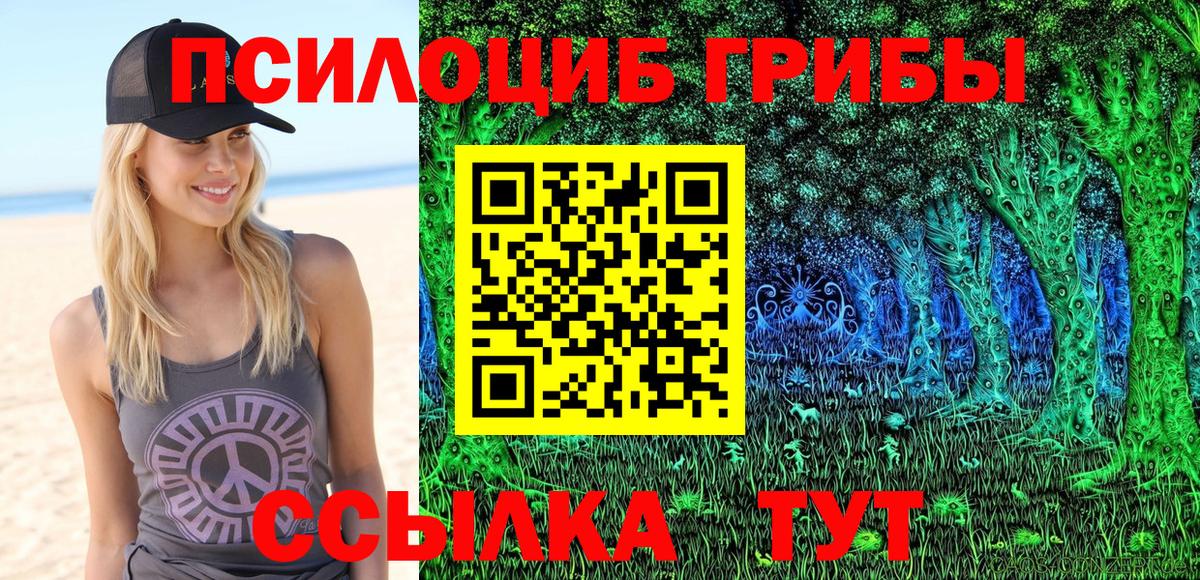 Галлюциногенные грибы GOLDEN TEACHER Тимашёвск